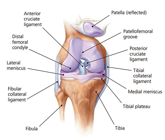 knee pain Bloemfontein Podiatry